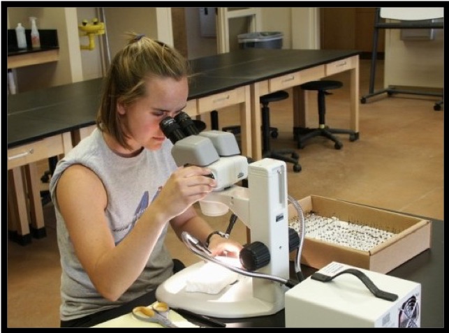 A student looking into a microscope.