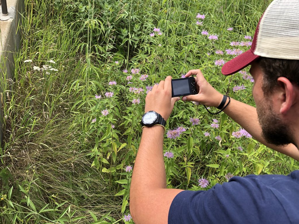 A student taking a picture of flowers.