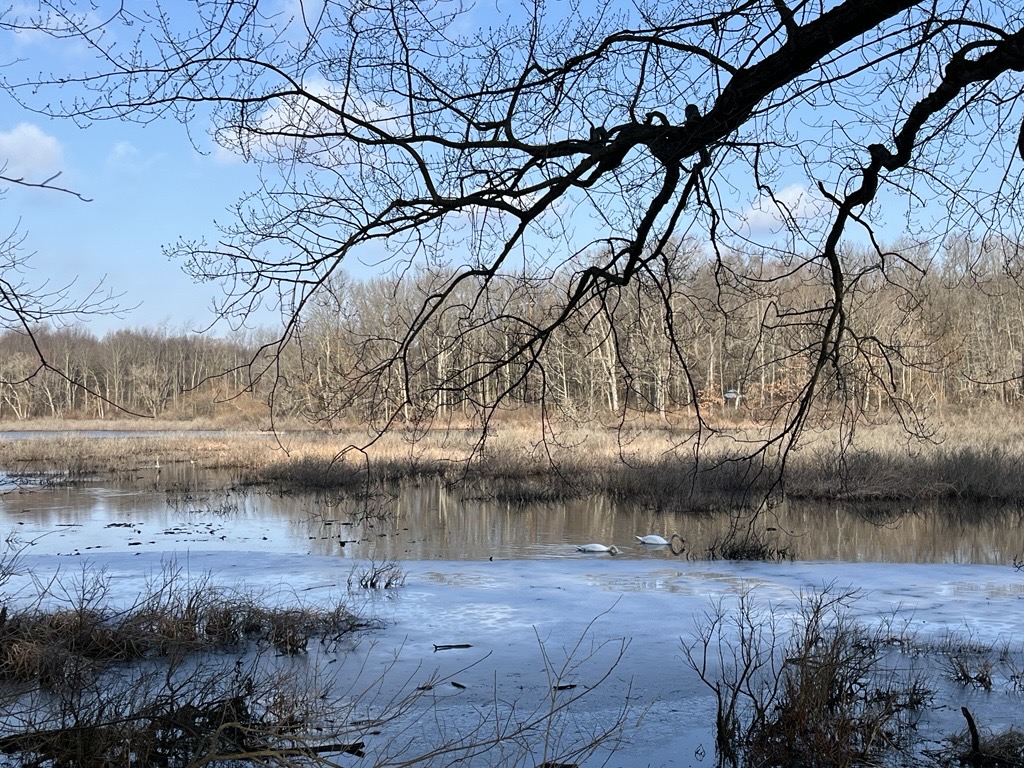 Photo of Bonnie Castle Marsh
